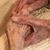 Beth Alcon Andrews's profile image