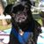 Lisa Koch-Rocheleau's profile image