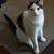 Sharon Bennett's profile image