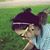Emily Ella's profile image