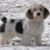 Sarahjane Velick's profile image