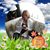 Judy Thomas Banks's profile image