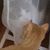 Donna Fiser Ward's profile image