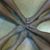 Janaury Livingston's profile image