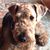 Colin Patterson's profile image