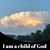Candi Wallis Wiley's profile image