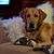 Rebecca Urey's profile image