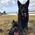 Ericka Schelstraete's profile image