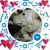 Carol Atkins's profile image