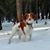 Leann Briggle Daugherty's profile image