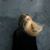 Nathalie Galyen's profile image