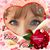 Kathy Pedigo Wilson's profile image