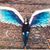 Stephanie Arrington's profile image
