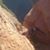 Jacob MacDonald's profile image