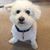 Gail Lorady's profile image