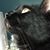 Lisa Timberlake's profile image