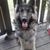 Donna Munnell Priselac's profile image