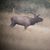 Duane Manternach's profile image