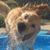 Nancy Manzie's profile image