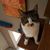 Donna Swisher Scott's profile image