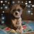 Jerry Waeyaert's profile image
