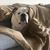 Andrea Kleppe's profile image