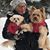 Fran Olson's profile image