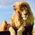 Gil Juarez's profile image