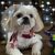 Sue Gimnich's profile image
