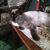 Teresa Cline's profile image