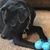Teresa Birkett's profile image