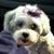 Tina Morgan's profile image
