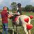 Dianna Moore Hayhurst's profile image