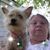 Pam Martin's profile image