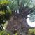 Kathy Jo Lawson-Heath's profile image