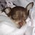 Darla Culver's profile image