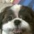 Martin Hines's profile image
