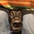 Chris Autry's profile image
