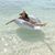 Karla Acuy's profile image