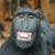 Keith Brussman's profile image