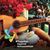 Guillermo Alcover's profile image