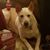 Betty Chambers Herman's profile image