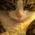 Candace Miller Kautzer's profile image