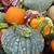 Judy Wilson's profile image