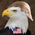 Alex Stone Gaston's profile image