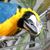 Laurie McCabe's profile image