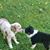 Dana Rinderknecht's profile image