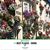 Luann Jordan Enneking's profile image