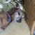 Amy Lombardo's profile image