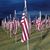 Beth Brawley Webster's profile image